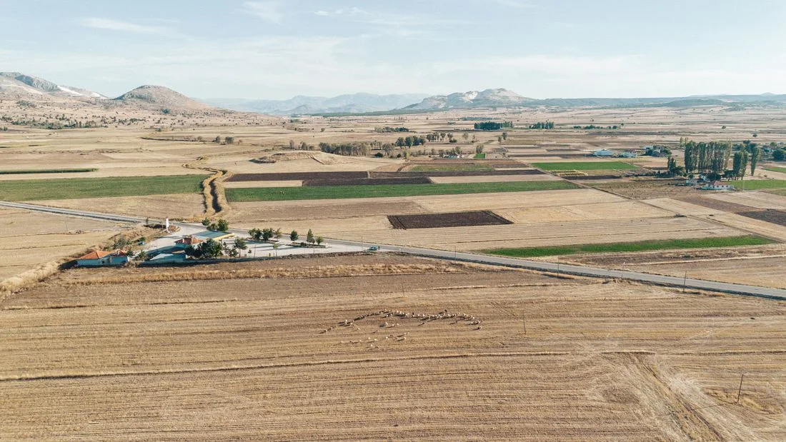 Vista aérea de campos de cultivo llanos cruzados por una carretera