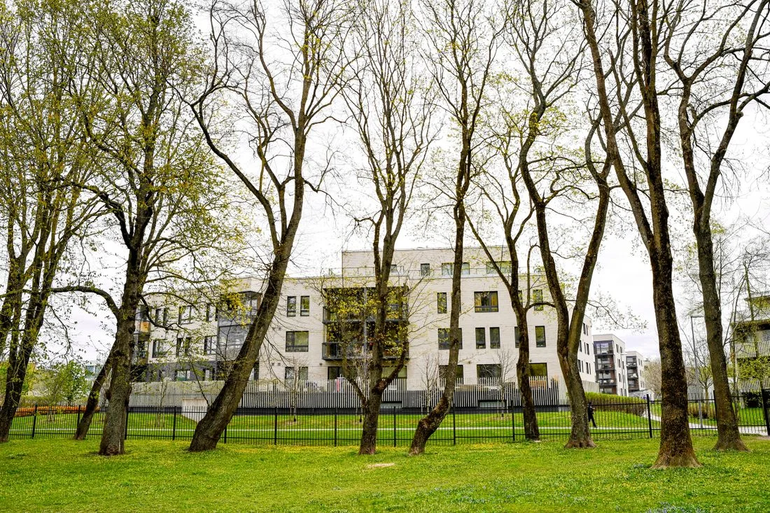 Bloques de viviendas de poca altura entre árboles, con zona verde delante