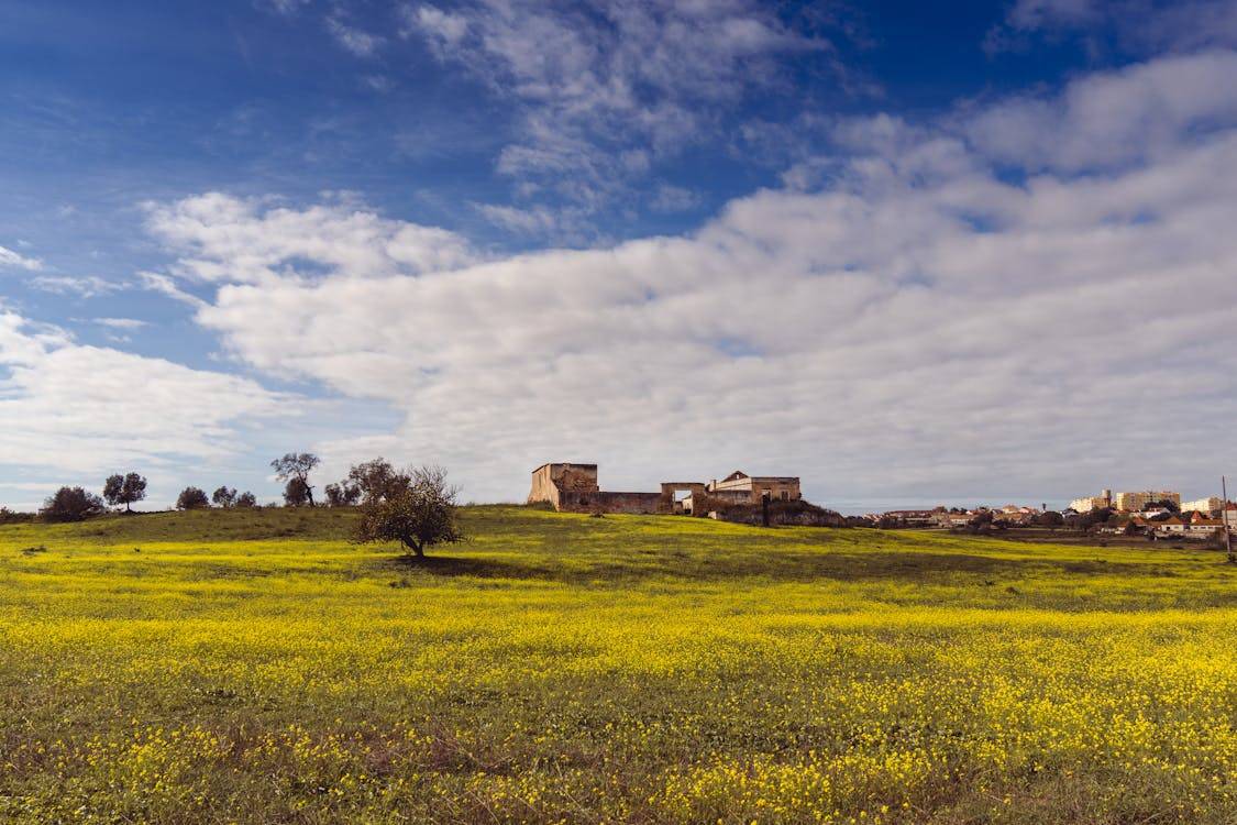 Estación de tren de Guadalajara con el cartel de destino Madrid, símbolo del éxodo residencial por precio